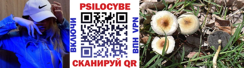 Псилоцибиновые грибы GOLDEN TEACHER  продажа наркотиков  Пикалёво 